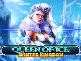 Queen Of Ice Winter Kingdom game cover
