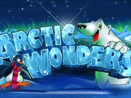 Arctic Wonders game cover